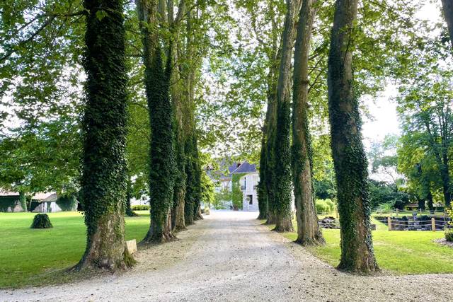 Abbaye de Cercanceaux, domaine de mariage à Souppes-sur-Loing (77) — photo 10