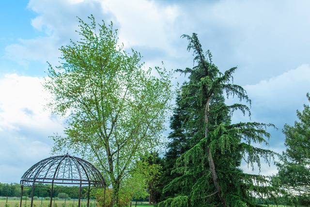 Domaine de Bailly, domaine de mariage à Saint-Méry (77) — photo 4