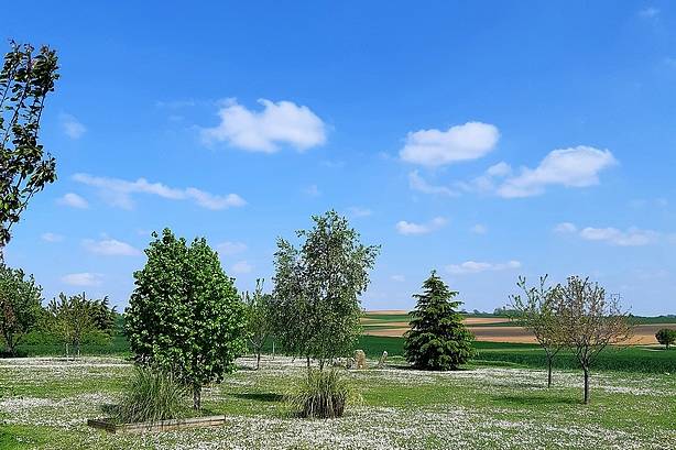 Domaine de La Pépinière, domaine de mariage à Châtenay-sur-Seine (77) — photo 7