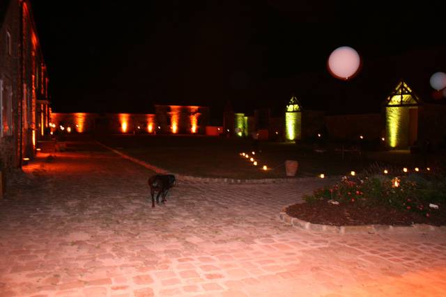 Domaine de Malassise, domaine de mariage à Mormant (77) — photo 10