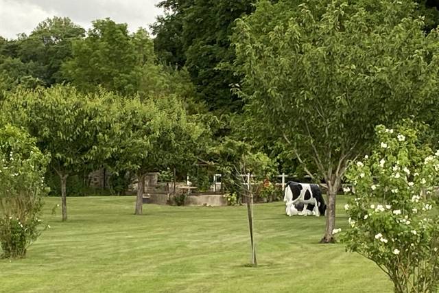 Domaine de Voisenon, domaine de mariage à Voisenon (77) — photo 3