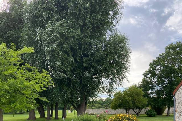Domaine de Voisenon, domaine de mariage à Voisenon (77) — photo 6