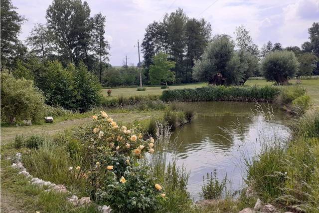 Domaine des Saules, domaine de mariage à Vendières (02) — photo 6