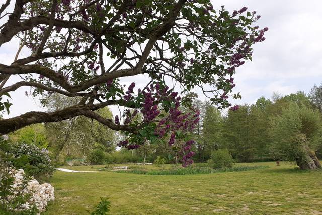 Domaine des Saules, domaine de mariage à Vendières (02) — photo 5