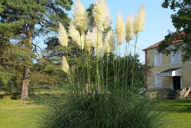 Domaine du Rocher, domaine de mariage à Arbonne la Forêt (77) — photo 8