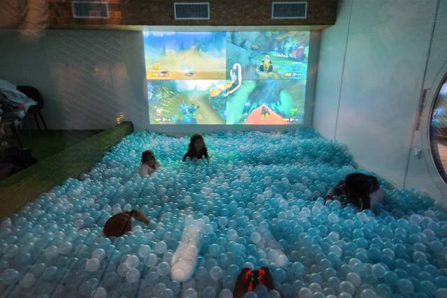 La Guinguette Geek, domaine de mariage à Melun (77) — photo 8