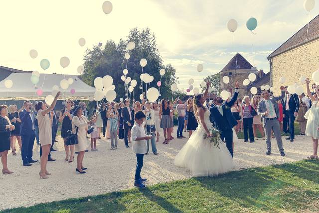 Le Clos du Colombier, domaine de mariage à Fontenay-Trésigny (77) — photo 8
