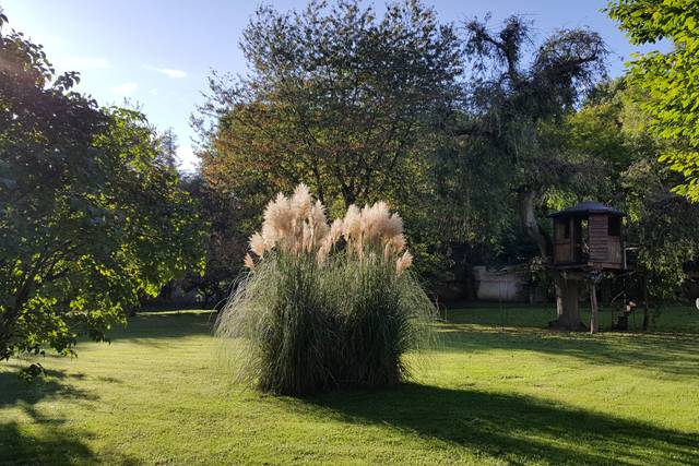 Le Moulin de Pommeuse, domaine de mariage à Pommeuse (77) — photo 7